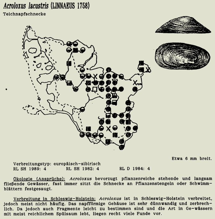 map c LANU-Schleswig-Holstein       drawing  c Projektgruppe Molluskenkartierung