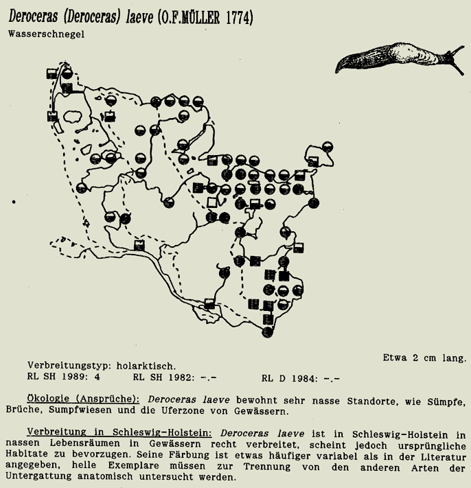 map c LANU-Schleswig-Holstein       drawing  c Projektgruppe Molluskenkartierung 