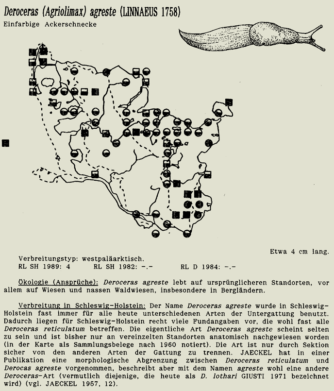 map c LANU-Schleswig-Holstein       drawing  c Projektgruppe Molluskenkartierung 