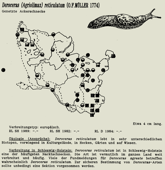 map c LANU-Schleswig-Holstein       drawing  c Projektgruppe Molluskenkartierung 