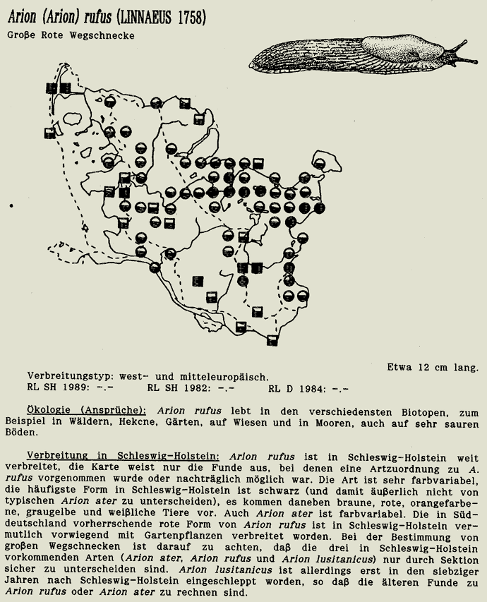 map c LANU-Schleswig-Holstein       drawing  c Projektgruppe Molluskenkartierung 