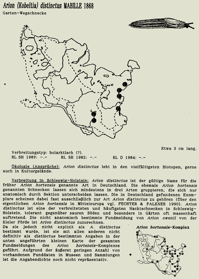 map c LANU-Schleswig-Holstein       drawing  c Projektgruppe Molluskenkartierung 