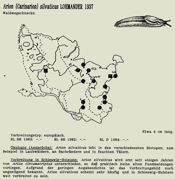 map c LANU-Schleswig-Holstein       drawing  c Projektgruppe Molluskenkartierung 