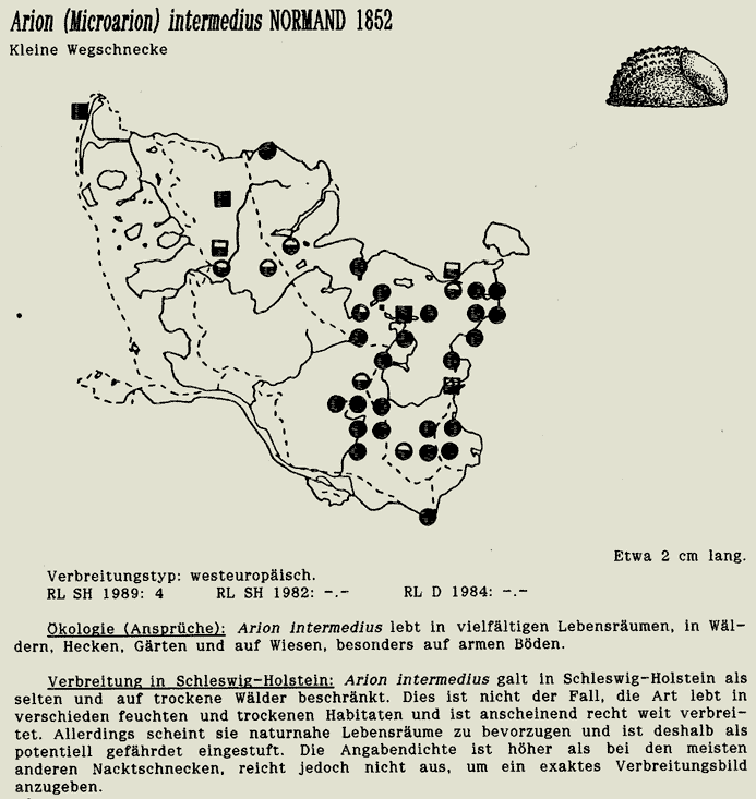 map c LANU-Schleswig-Holstein       drawing  c Projektgruppe Molluskenkartierung 