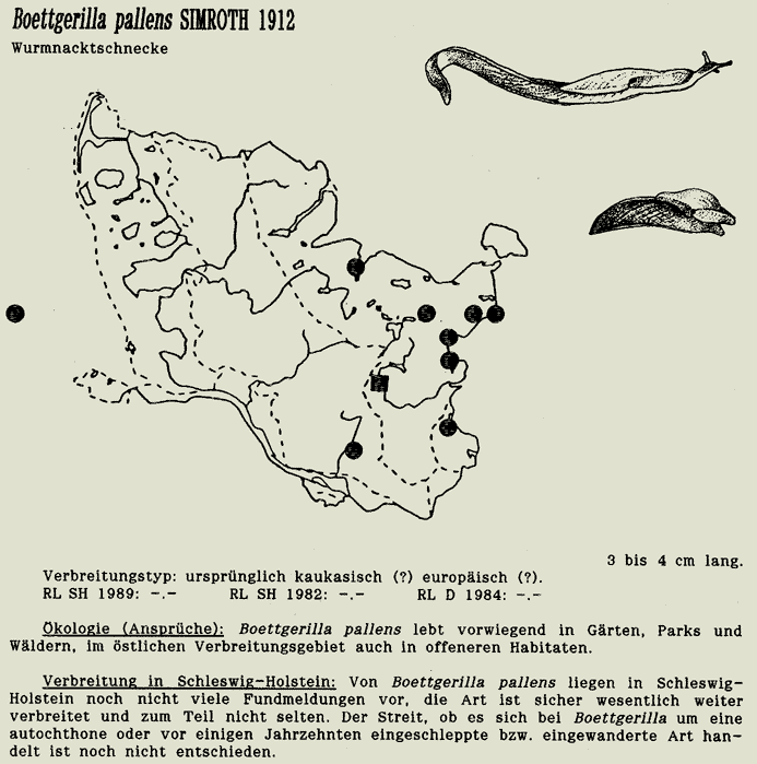 map c LANU-Schleswig-Holstein       drawing  c Projektgruppe Molluskenkartierung 