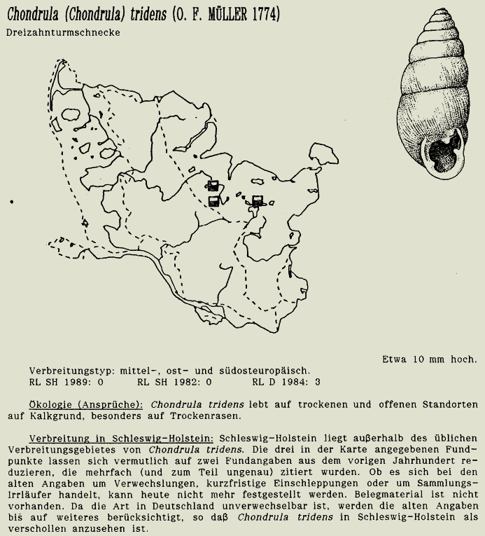 map c LANU-Schleswig-Holstein       drawing  c Projektgruppe Molluskenkartierung 