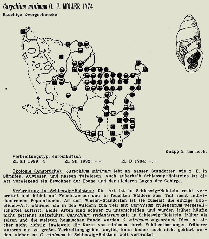 map c LANU-Schleswig-Holstein       drawing  c Projektgruppe Molluskenkartierung 