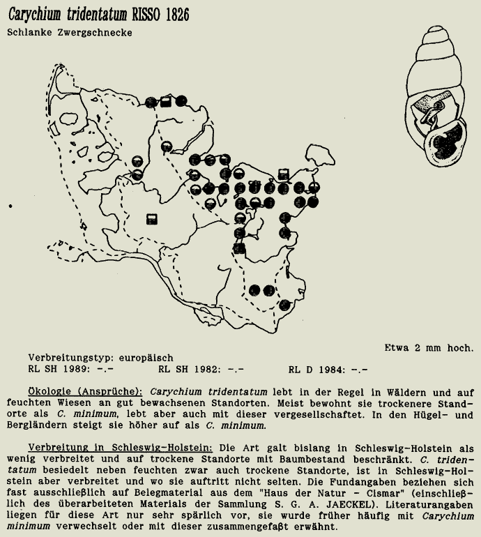 map c LANU-Schleswig-Holstein       drawing  c Projektgruppe Molluskenkartierung 