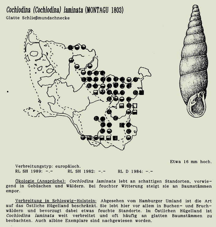 map c LANU-Schleswig-Holstein       drawing  c Projektgruppe Molluskenkartierung 