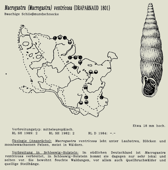 map c LANU-Schleswig-Holstein       drawing  c Projektgruppe Molluskenkartierung 