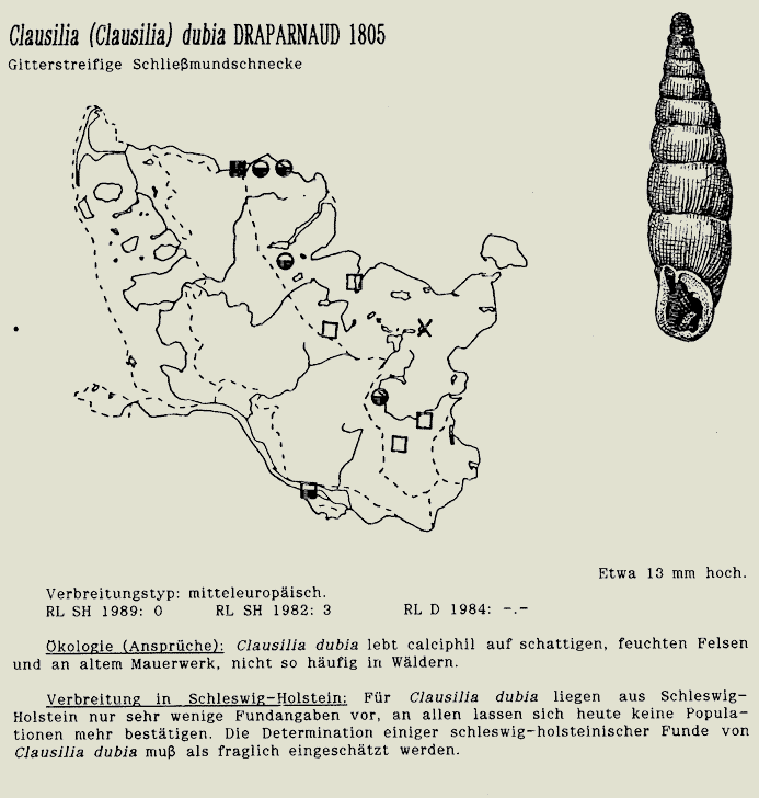 map c LANU-Schleswig-Holstein       drawing  c Projektgruppe Molluskenkartierung 