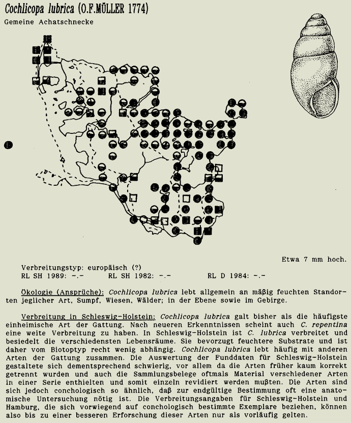 map c LANU-Schleswig-Holstein       drawing  c Projektgruppe Molluskenkartierung 