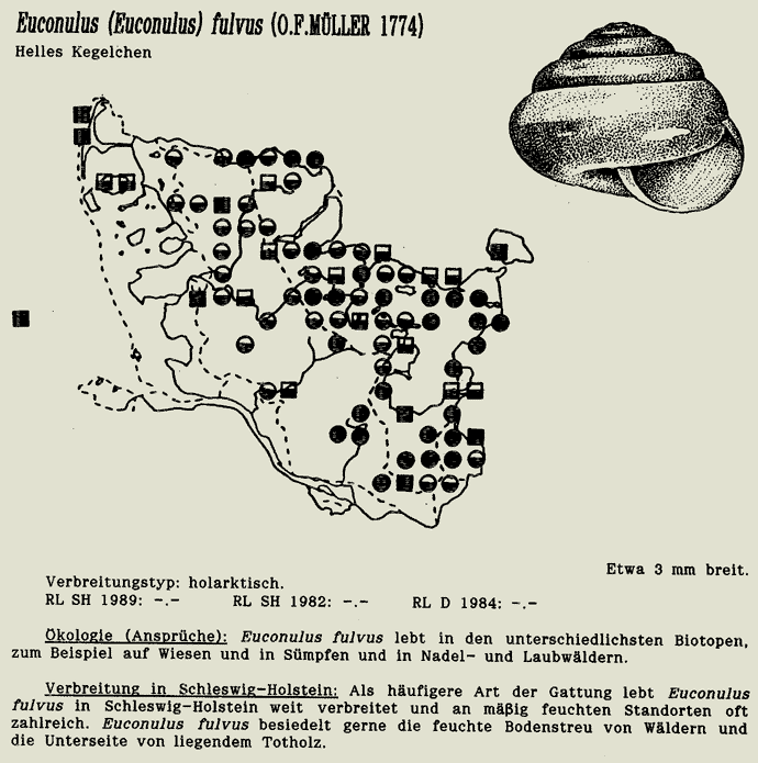 map c LANU-Schleswig-Holstein       drawing  c Projektgruppe Molluskenkartierung 