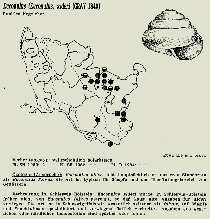 map c LANU-Schleswig-Holstein       drawing  c Projektgruppe Molluskenkartierung 