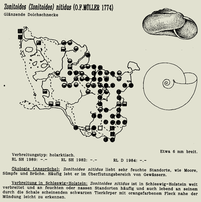 map c LANU-Schleswig-Holstein       drawing  c Projektgruppe Molluskenkartierung 