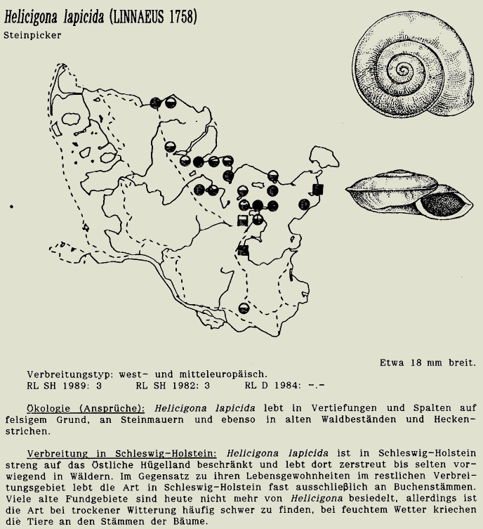 map c LANU-Schleswig-Holstein       drawing  c Projektgruppe Molluskenkartierung