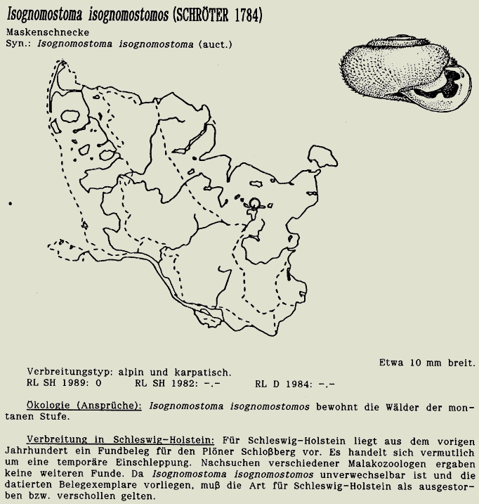 map c LANU-Schleswig-Holstein       drawing  c Projektgruppe Molluskenkartierung