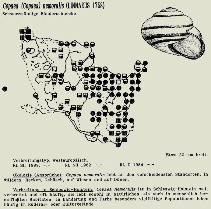 map c LANU-Schleswig-Holstein       drawing  c Projektgruppe Molluskenkartierung 