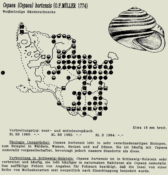 map c LANU-Schleswig-Holstein       drawing  c Projektgruppe Molluskenkartierung