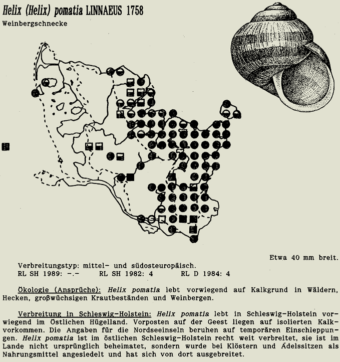 map c LANU-Schleswig-Holstein       drawing  c Projektgruppe Molluskenkartierung