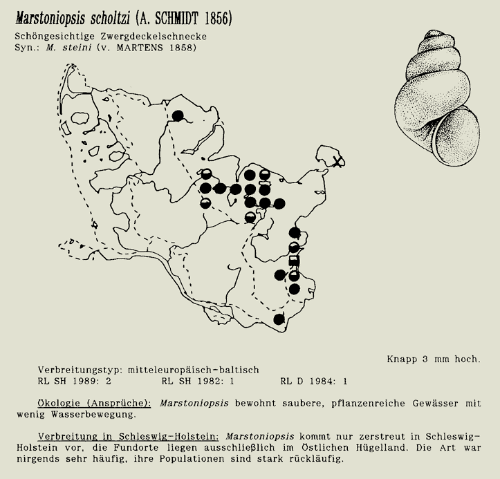 map c LANU-Schleswig-Holstein       drawing  c Projektgruppe Molluskenkartierung 