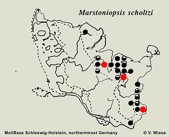 Map c V. Wiese