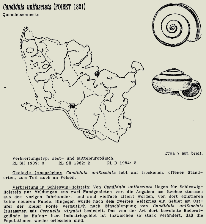 map c LANU-Schleswig-Holstein       drawing  c Projektgruppe Molluskenkartierung 