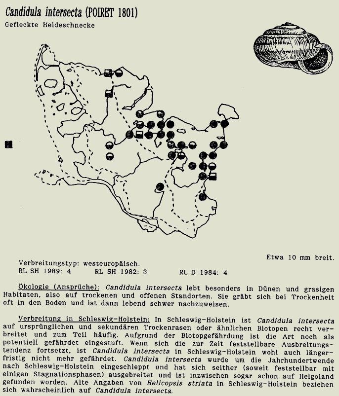 map c LANU-Schleswig-Holstein       drawing  c Projektgruppe Molluskenkartierung 