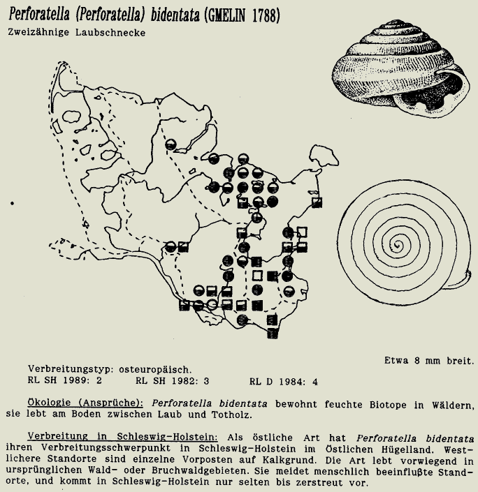 map c LANU-Schleswig-Holstein       drawing  c Projektgruppe Molluskenkartierung 