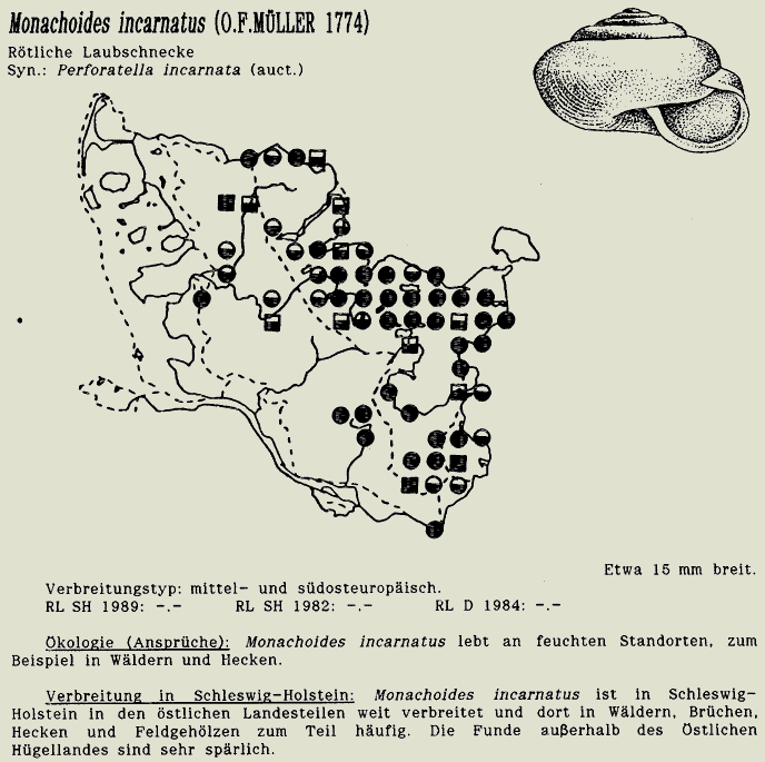 map c LANU-Schleswig-Holstein       drawing  c Projektgruppe Molluskenkartierung 