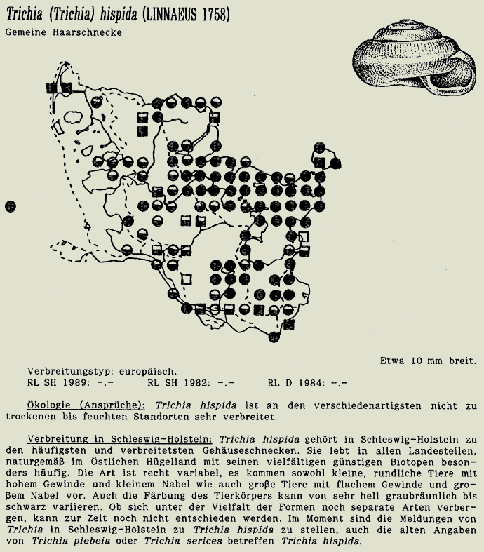 map c LANU-Schleswig-Holstein       drawing  c Projektgruppe Molluskenkartierung 