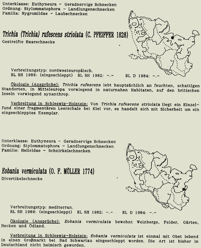 map c LANU-Schleswig-Holstein       drawing  c Projektgruppe Molluskenkartierung 