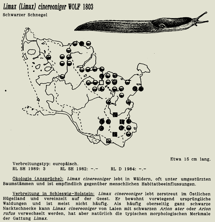 map c LANU-Schleswig-Holstein       drawing  c Projektgruppe Molluskenkartierung 