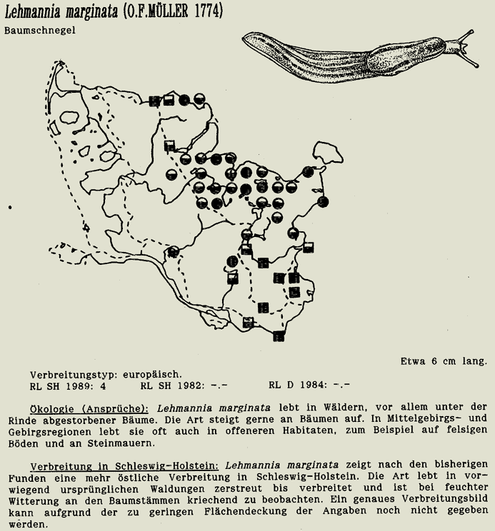 map c LANU-Schleswig-Holstein       drawing  c Projektgruppe Molluskenkartierung 