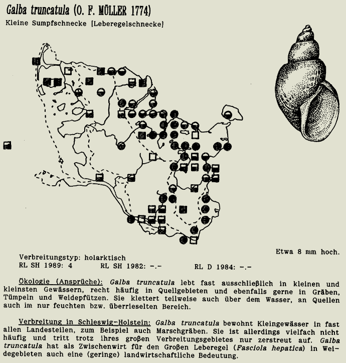 map c LANU-Schleswig-Holstein       drawing  c Projektgruppe Molluskenkartierung