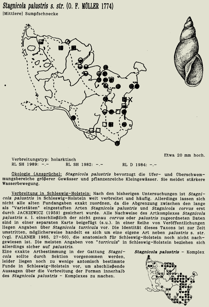 map c LANU-Schleswig-Holstein       drawing  c Projektgruppe Molluskenkartierung 