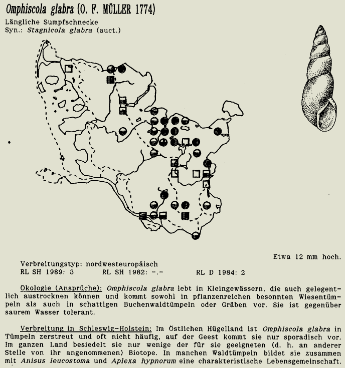 map c LANU-Schleswig-Holstein       drawing  c Projektgruppe Molluskenkartierung 