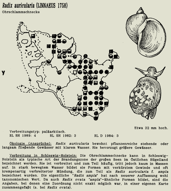 map c LANU-Schleswig-Holstein       drawing  c Projektgruppe Molluskenkartierung 