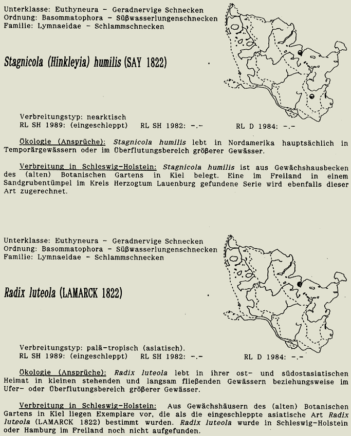 map c LANU-Schleswig-Holstein       drawing  c Projektgruppe Molluskenkartierung 