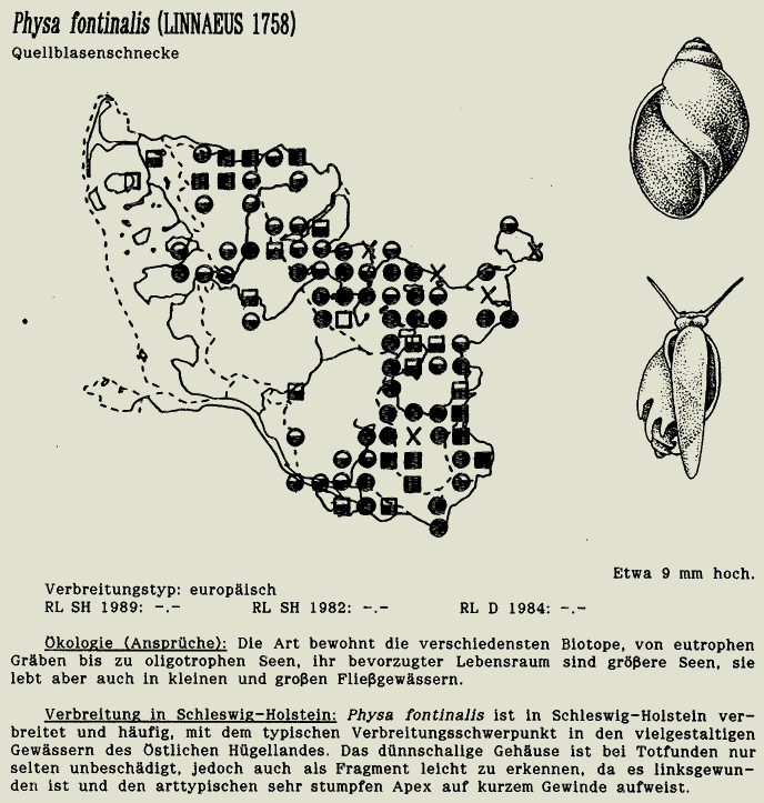 map c LANU-Schleswig-Holstein drawing c Projektgruppe Molluskenkartierung