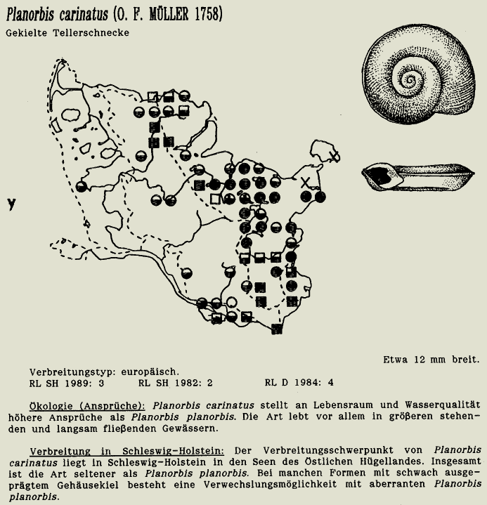 map c LANU-Schleswig-Holstein       drawing  c Projektgruppe Molluskenkartierung