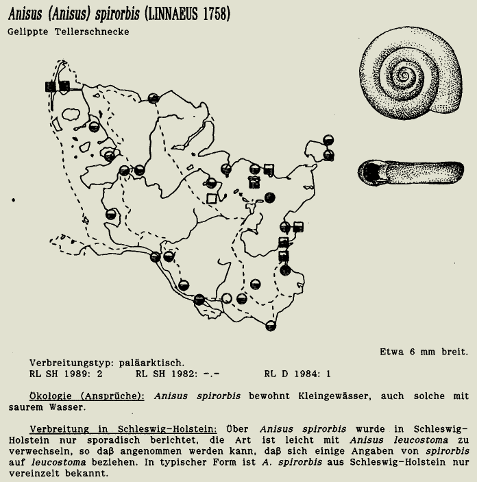 map c LANU-Schleswig-Holstein       drawing  c Projektgruppe Molluskenkartierung