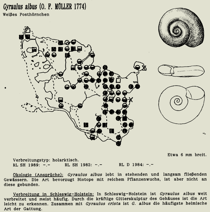 map c LANU-Schleswig-Holstein       drawing  c Projektgruppe Molluskenkartierung 