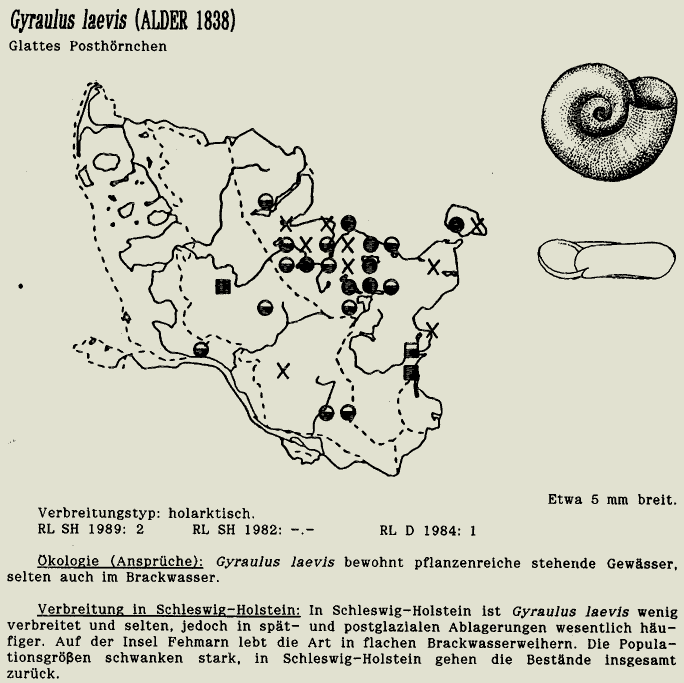 map c LANU-Schleswig-Holstein       drawing  c Projektgruppe Molluskenkartierung 