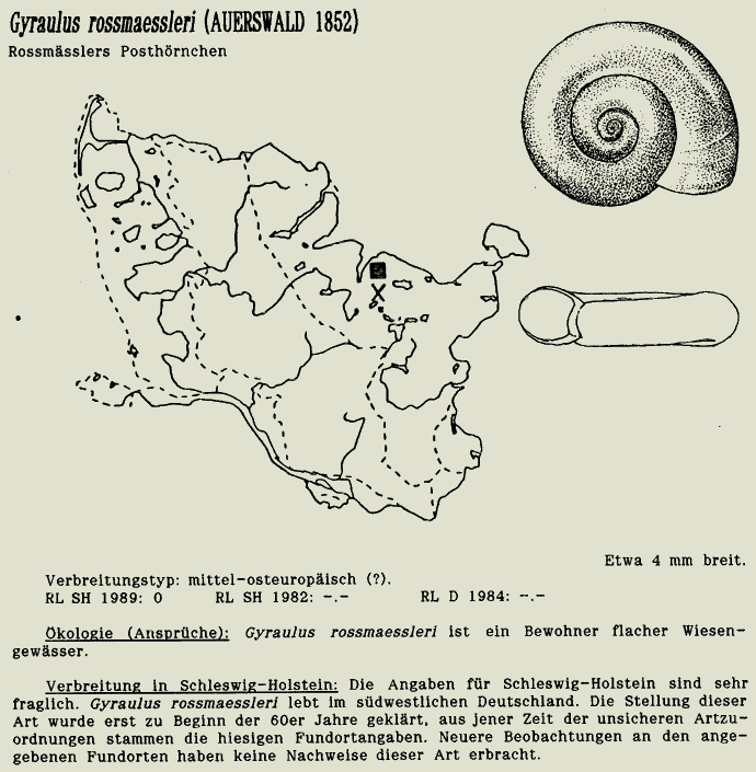 map c LANU-Schleswig-Holstein       drawing  c Projektgruppe Molluskenkartierung 