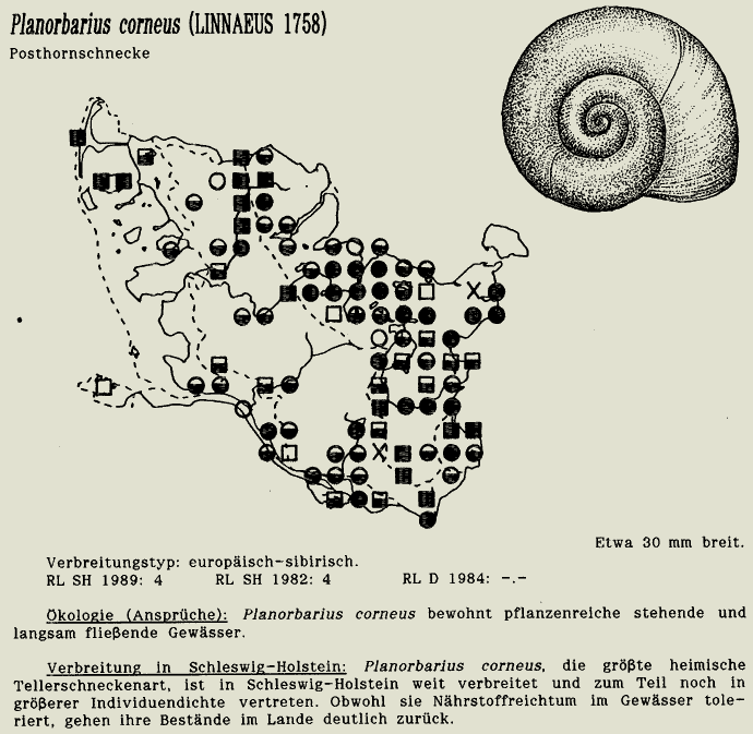 map c LANU-Schleswig-Holstein       drawing  c Projektgruppe Molluskenkartierung 