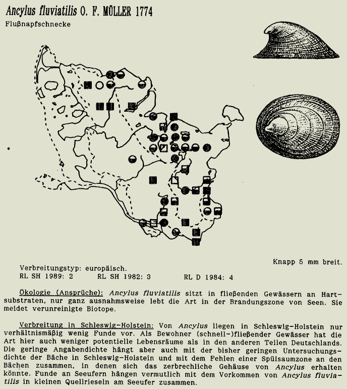 map c LANU-Schleswig-Holstein       drawing  c Projektgruppe Molluskenkartierung 