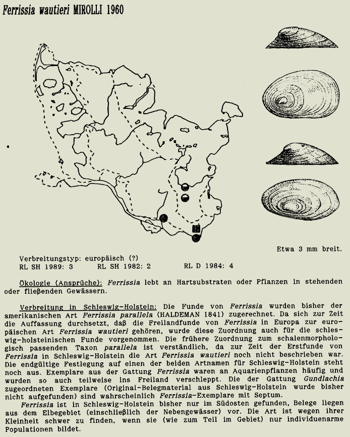 map c LANU-Schleswig-Holstein       drawing  c Projektgruppe Molluskenkartierung 