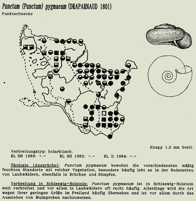 map c LANU-Schleswig-Holstein       drawing  c Projektgruppe Molluskenkartierung 