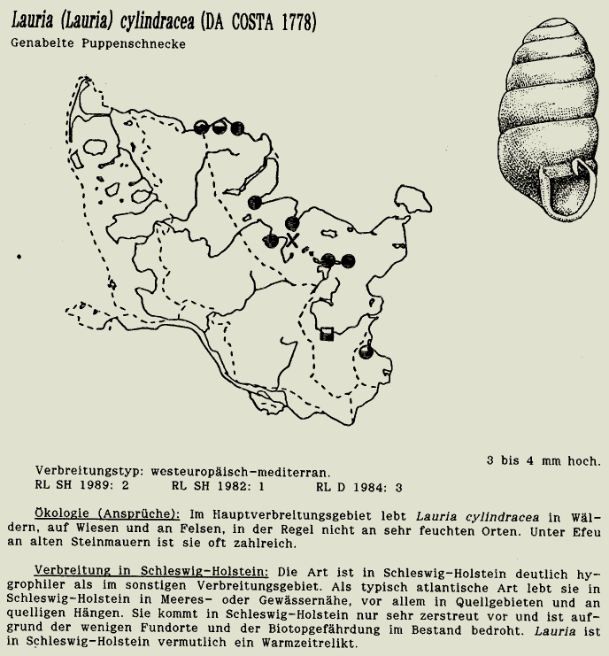 map c LANU-Schleswig-Holstein       drawing  c Projektgruppe Molluskenkartierung 